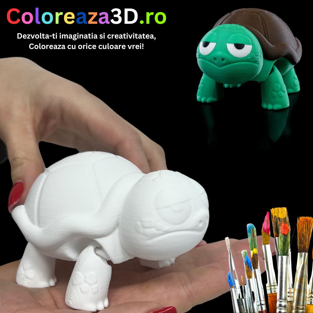 Coloreaza Baby Țestoasa 3D – O Mică Aventurieră de Colorat!